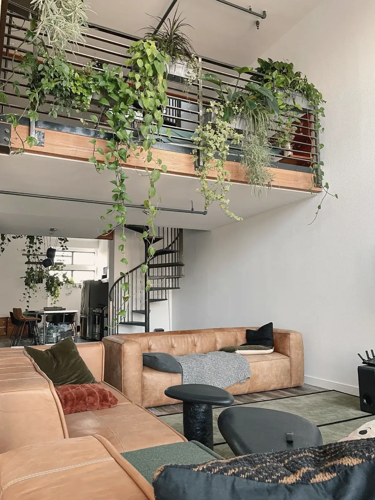 Trailing plants along a loft balcony railing above the living room