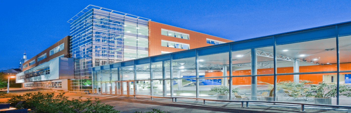 ВШЭ - самый престижный университет для получения высшего образования в Чехии. Здесь ты прочитаешь подробную информацию о нем.