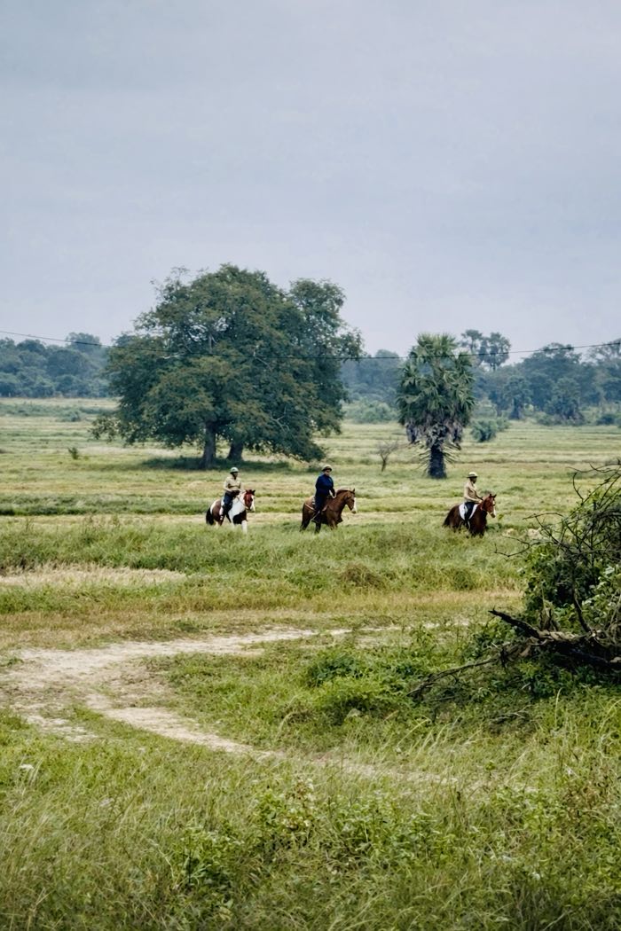 Riders crossing open green country near Vonfidel Ranch during a guided trail ride in Sri Lanka
