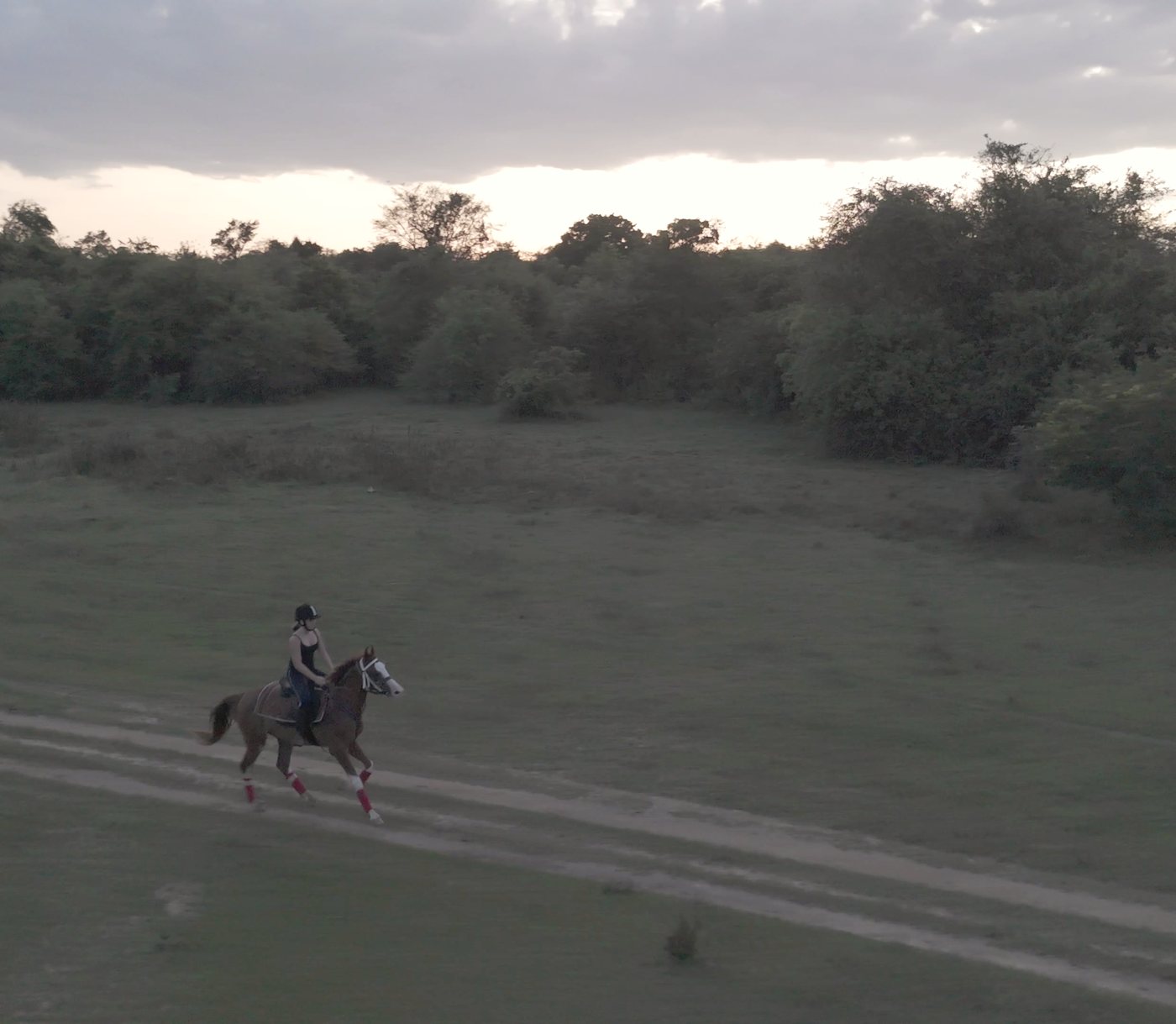 A rider cantering across open grassland at Punanai in the last of the evening light.