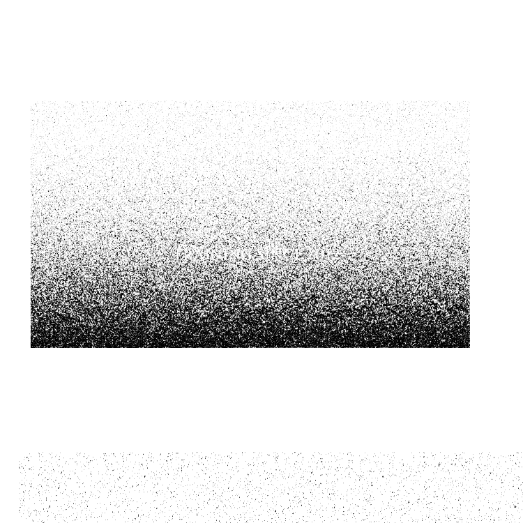 Coach Marcel M