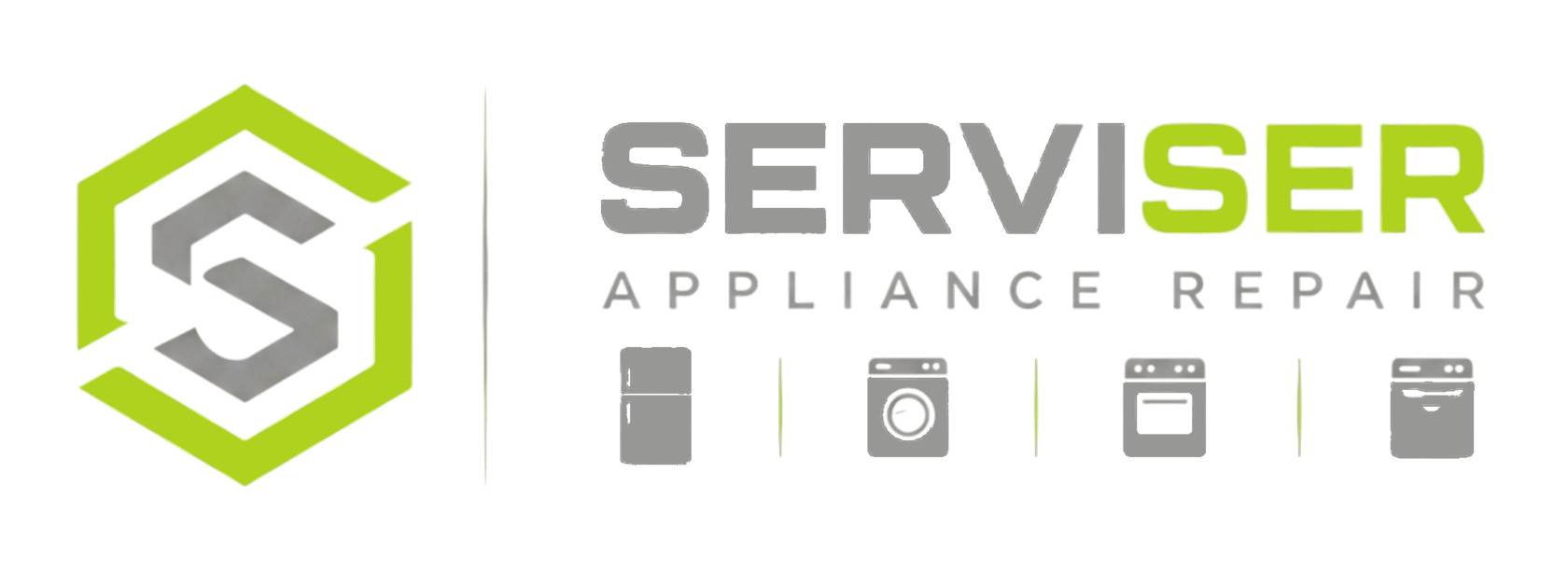 SERVISER LLC