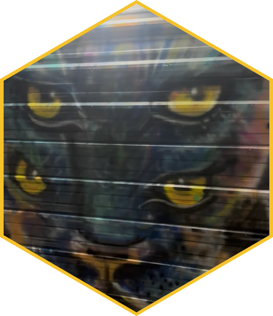 A finished spray-paint mural of a four-eyed cat with gold eyes