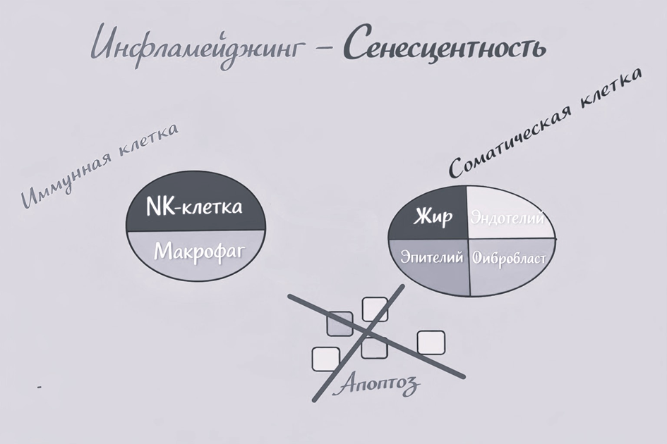 Ein Bild, das Text, Screenshot, Diagramm, Schrift enthält.
KI-generierte Inhalte können fehlerhaft sein.