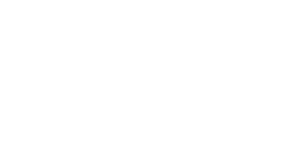 The best Bengal cattery