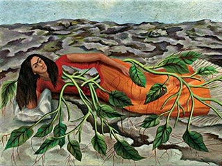 Frida Kahlo: The Fierce Icon Behind the Paintings Frida Kahlo: The Fierce Icon Behind the Paintings