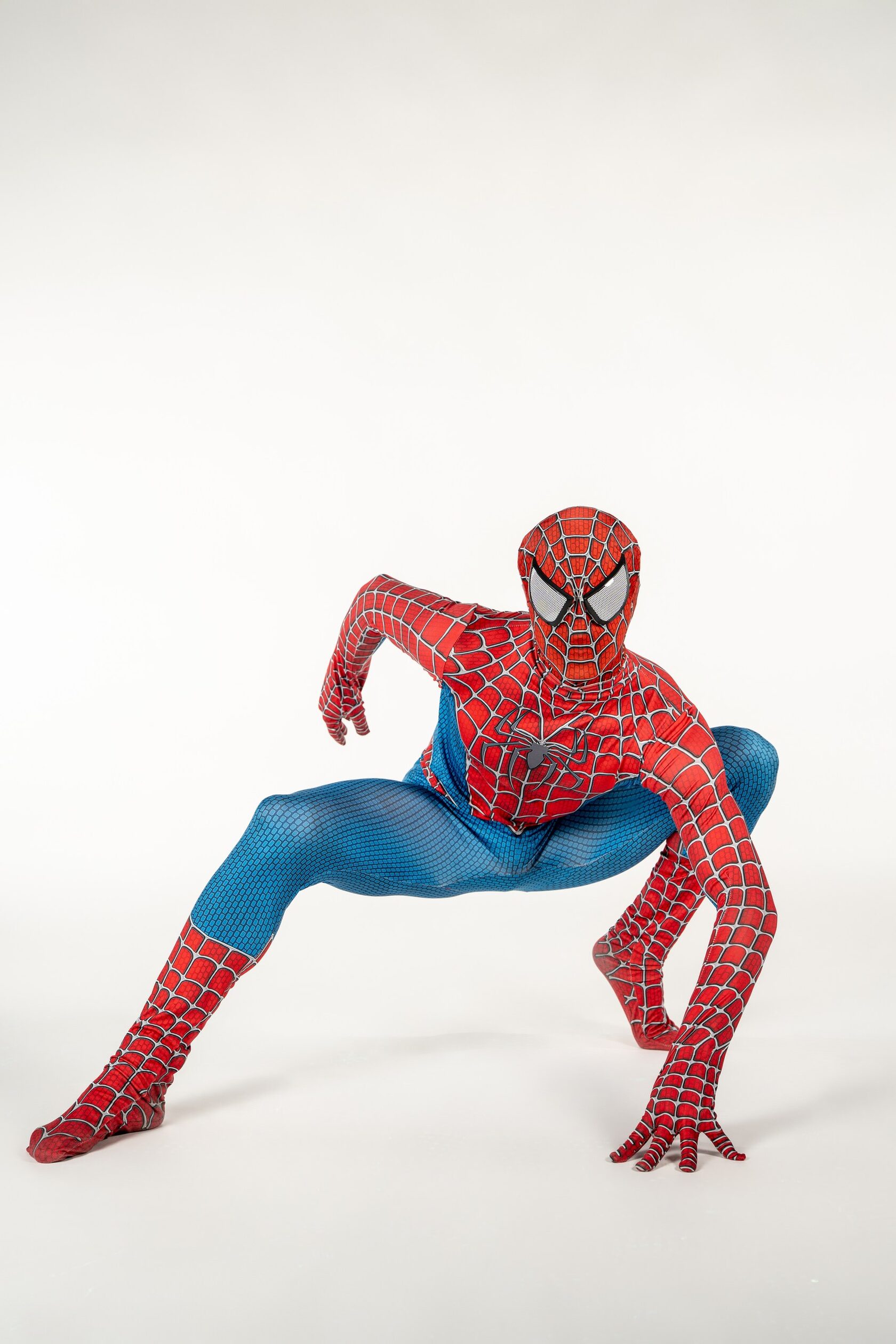 Web Hero