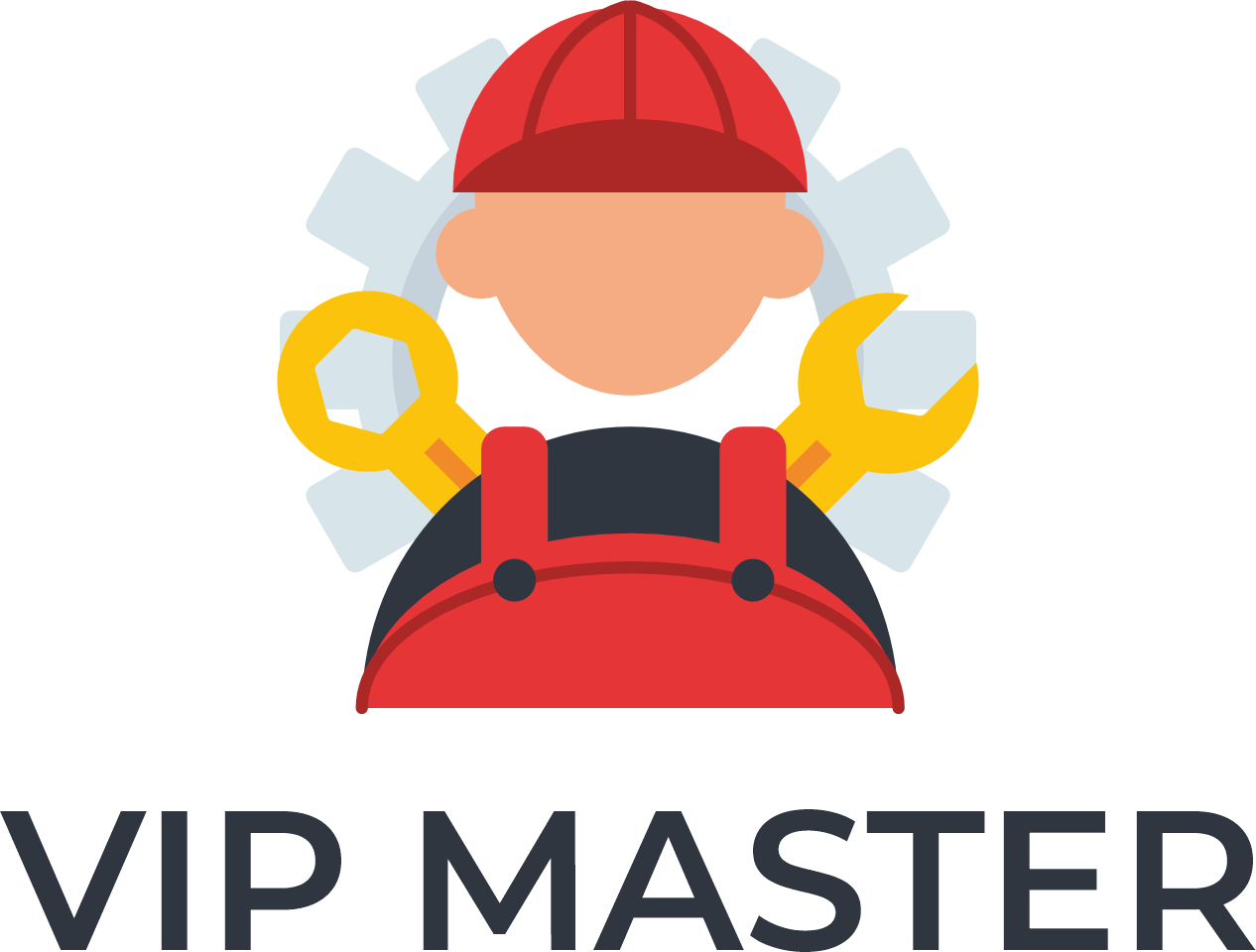  VIP MASTER 