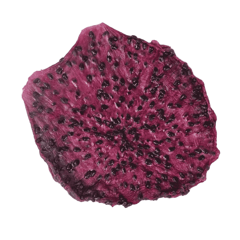 Soft Dried Red Dragon Fruit No Added Sugar from Vietnam