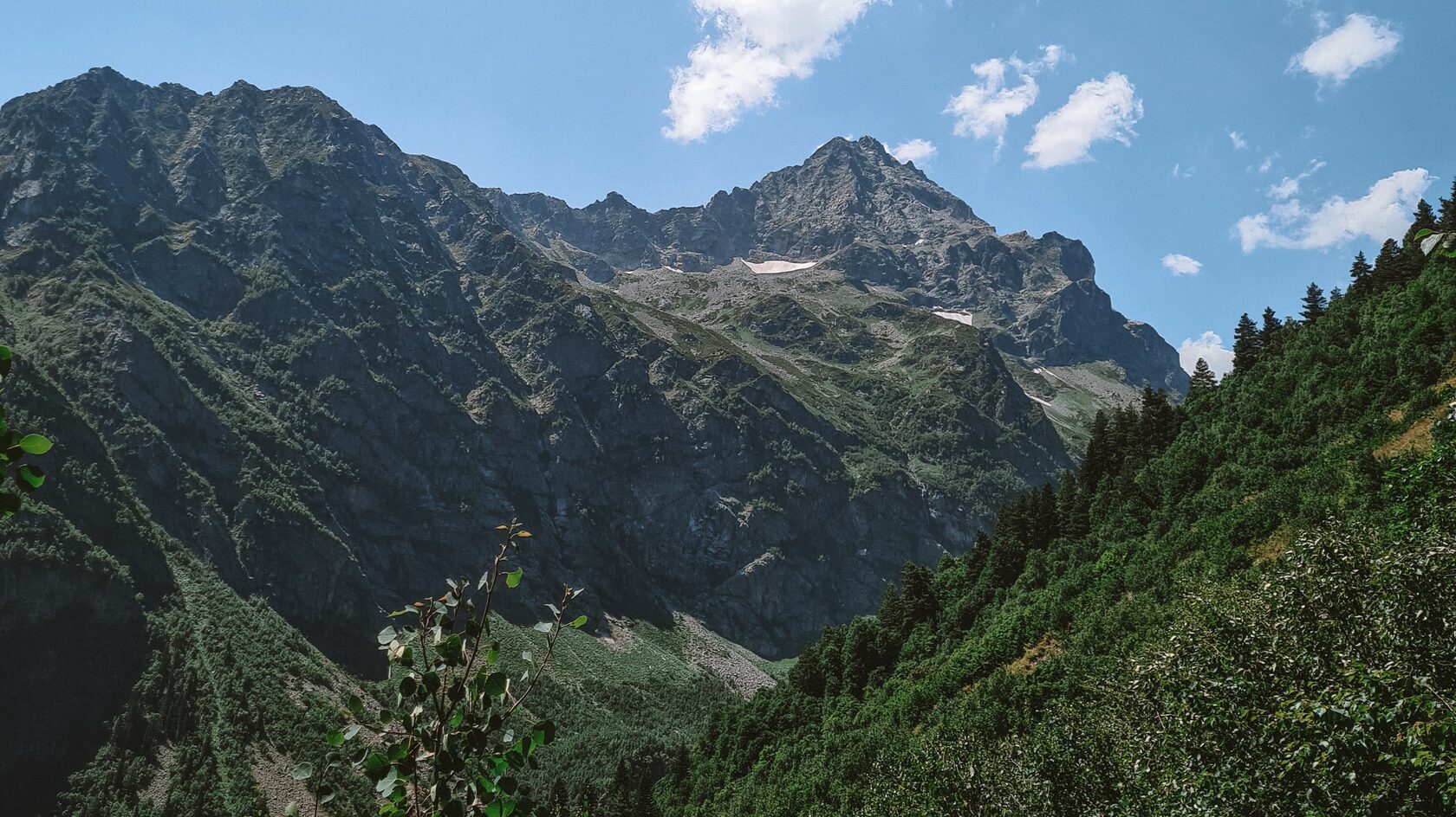 The Mountain Slopes and Forests of Svaneti