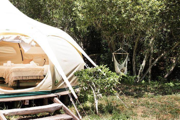 The Lotus tent among fruit trees