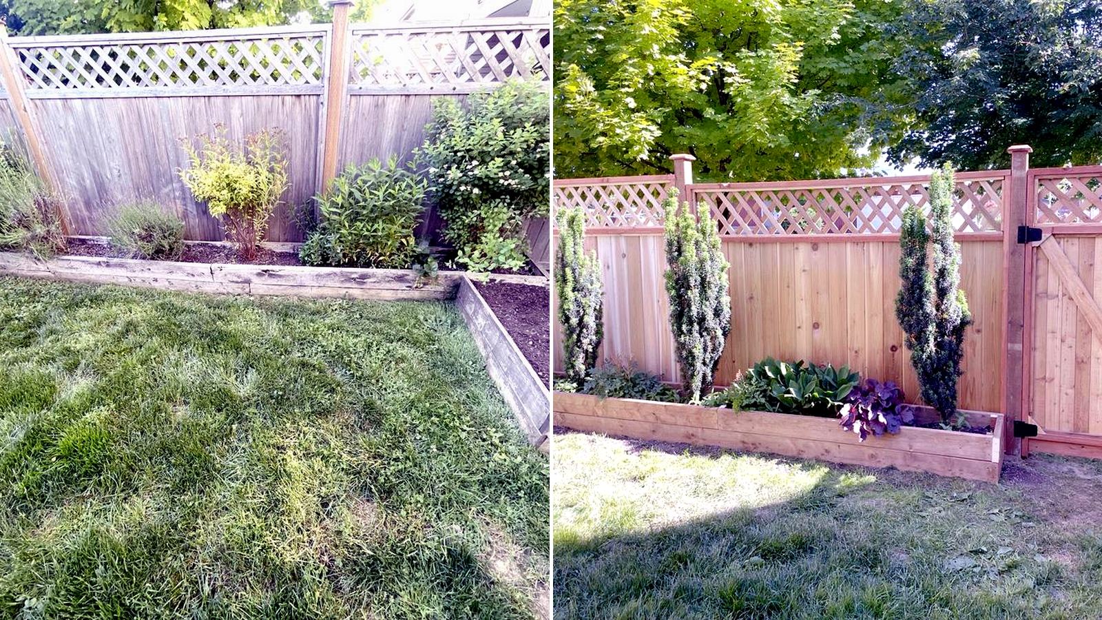 Before and after fence replacement and garden box restoration in Chilliwack BC by VeryWell Home Services