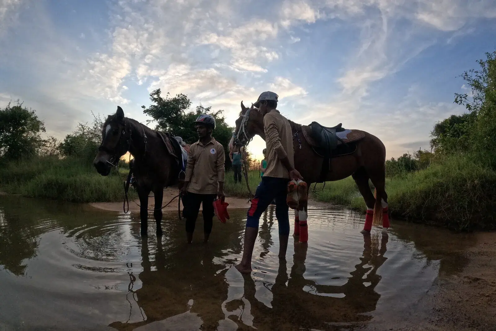 Horses led through water at the end of a riding day, handlers alongside.