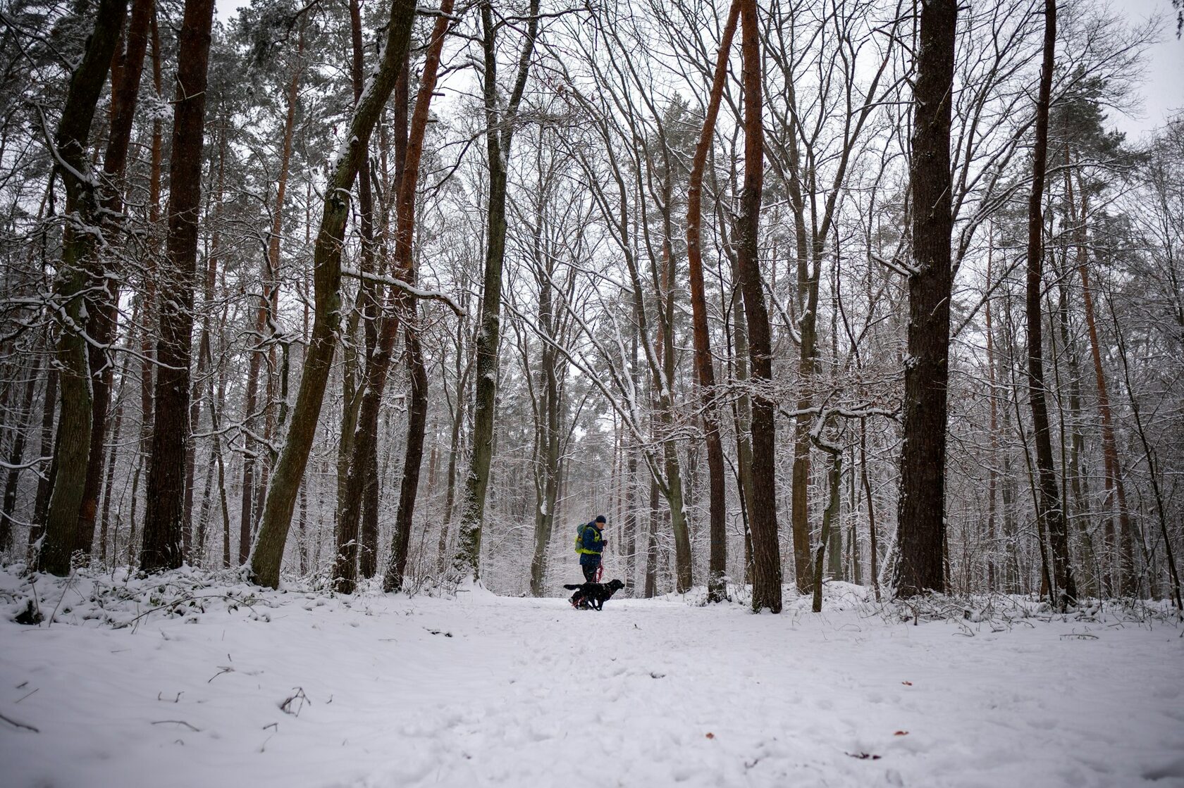 Person riding a snowmobile
