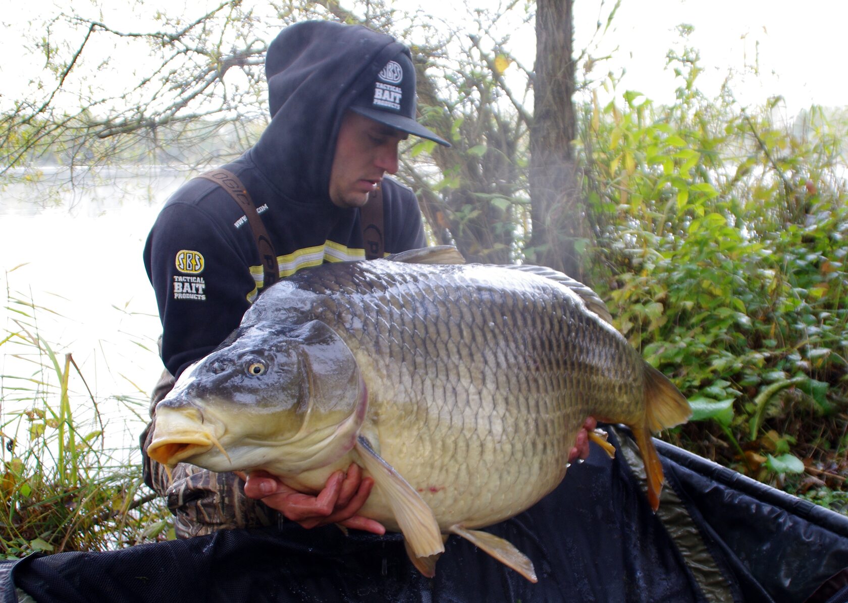 Big carp landed on Katran Cobra hooklink
