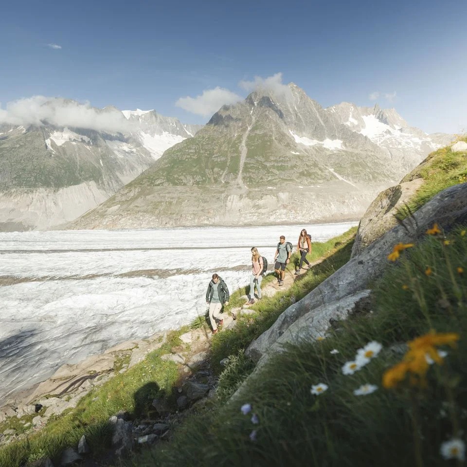 Randonnée guidée au glacier d'Aletsch