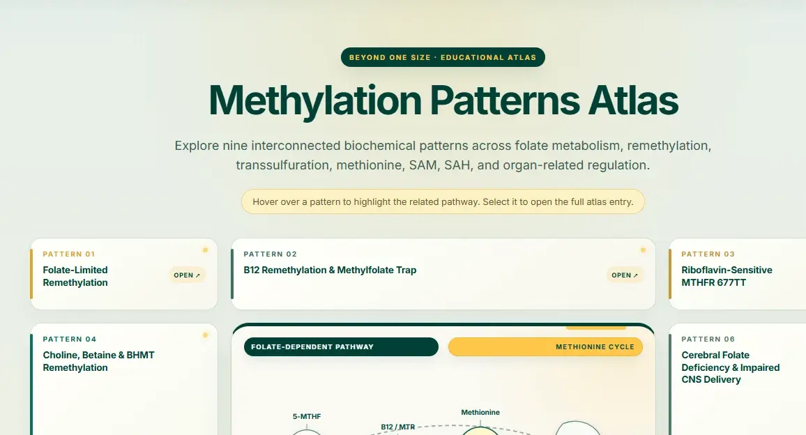 Interactive Atlas home
