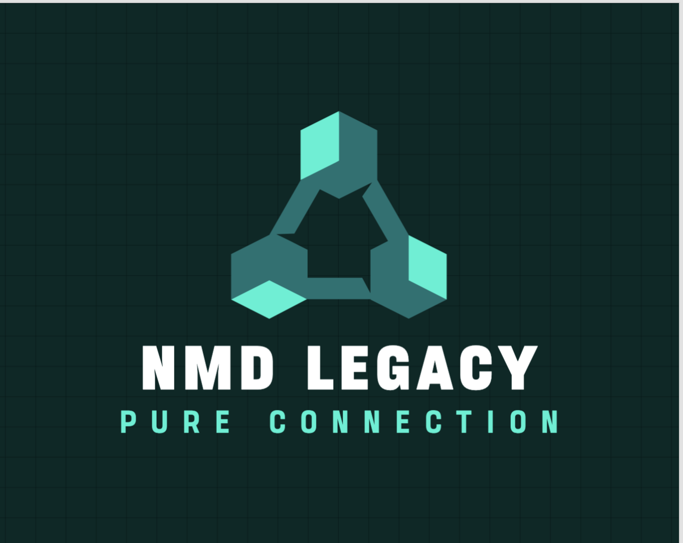  NMD LEGACY 