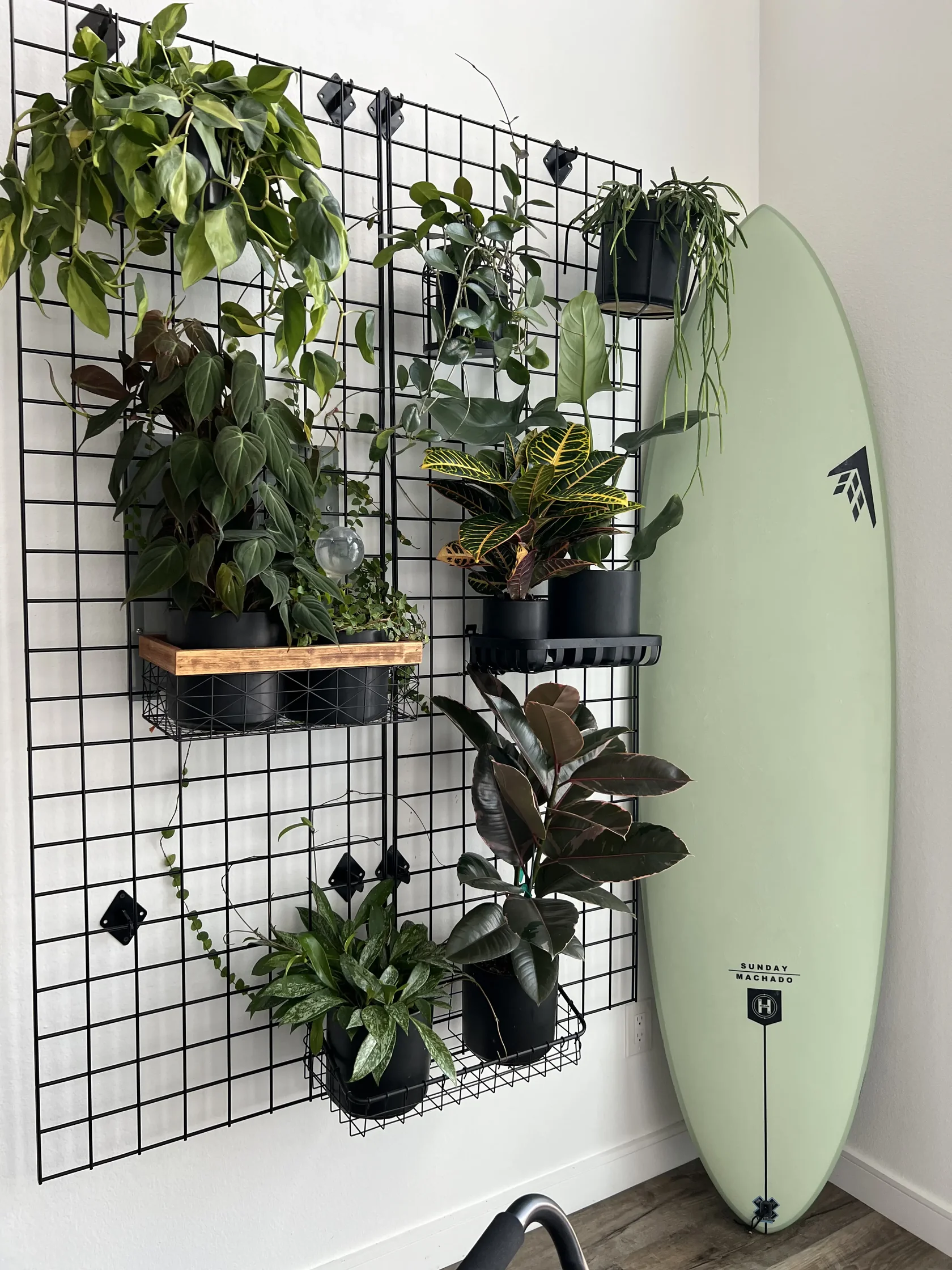 A grid wall of potted plants next to a surfboard in an Encinitas coworking space