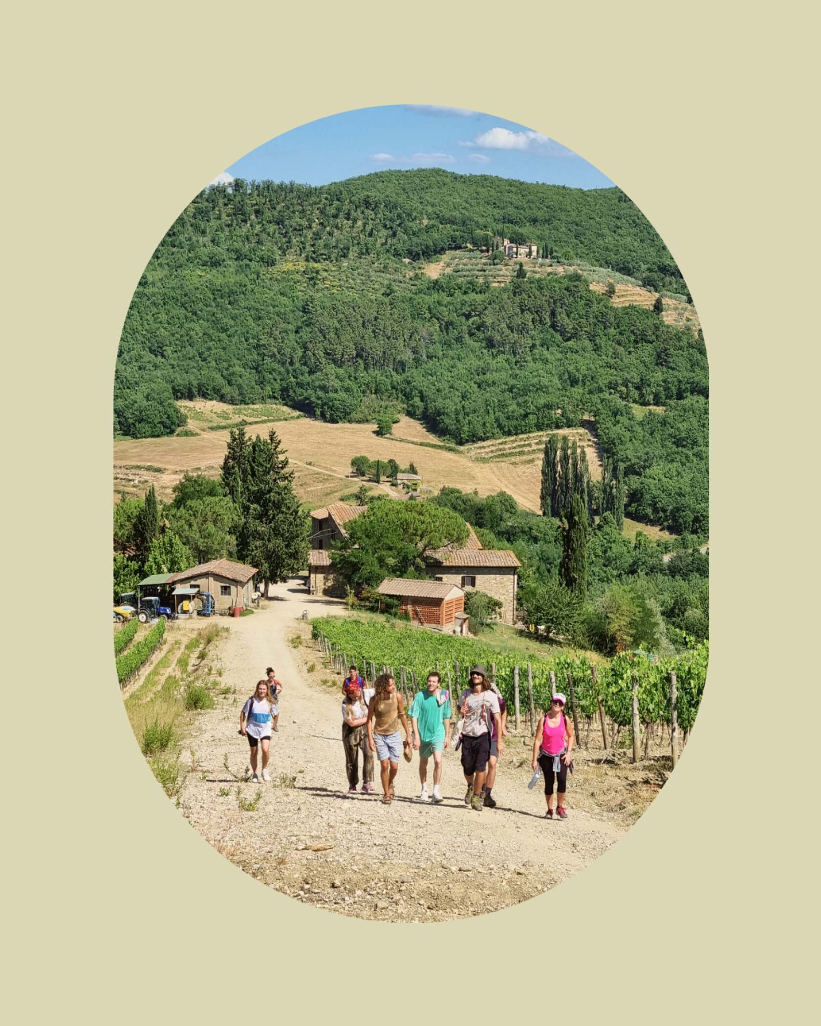 A visual inspiration board for Namastrails, showcasing natural textures, travel elements, and holistic wellness imagery.