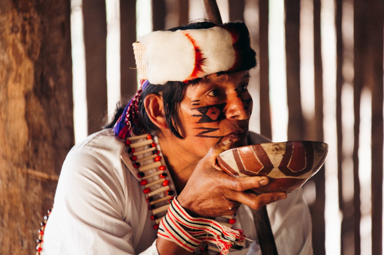 Ayahuasca Retreat Cost 2024 Average Prices How Much to Expect