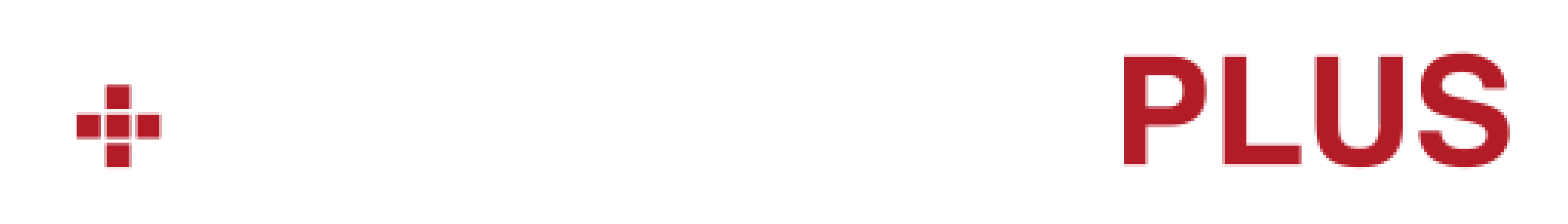 Management Plus