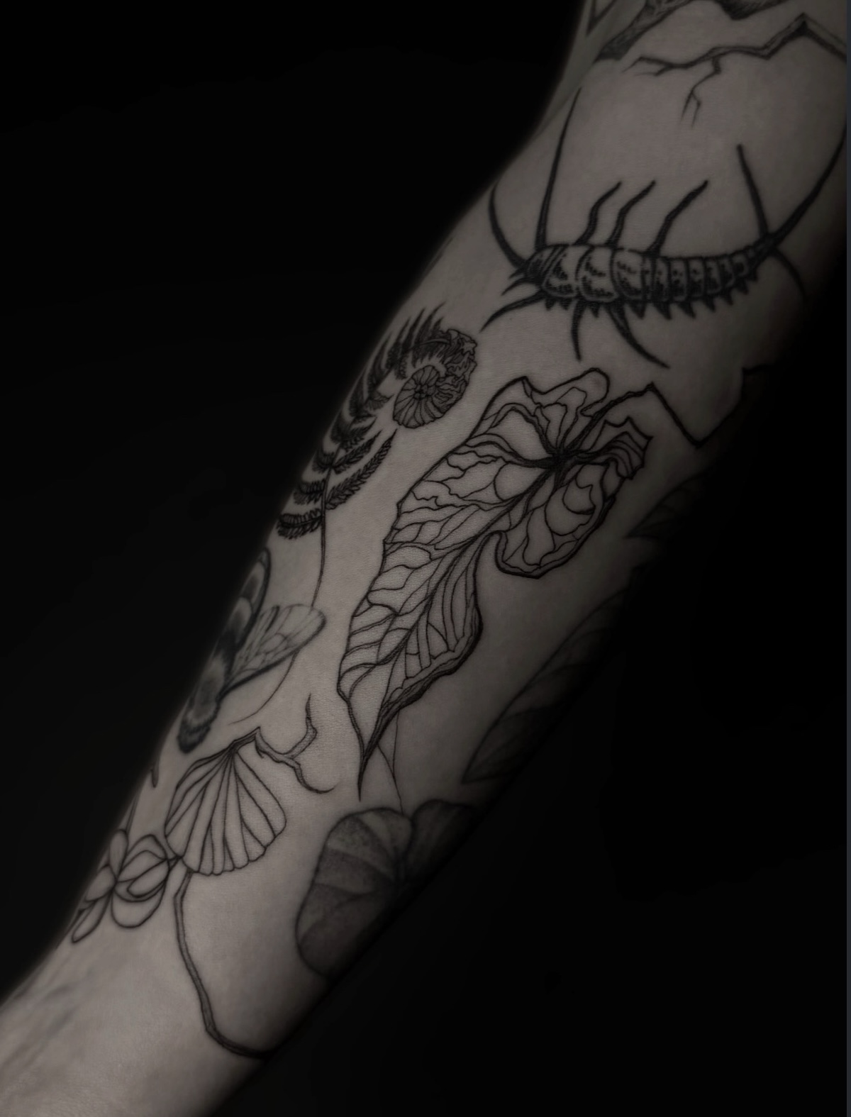 Tattooed forearm with a curled fern, a many-legged creature, a large veined organic form and angular branch lines.