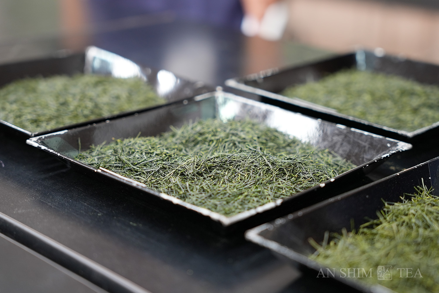 Kyoto Tea Competition in Uji – Inside a Rare Event