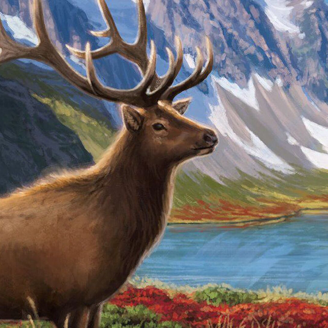 Каскадия, игра