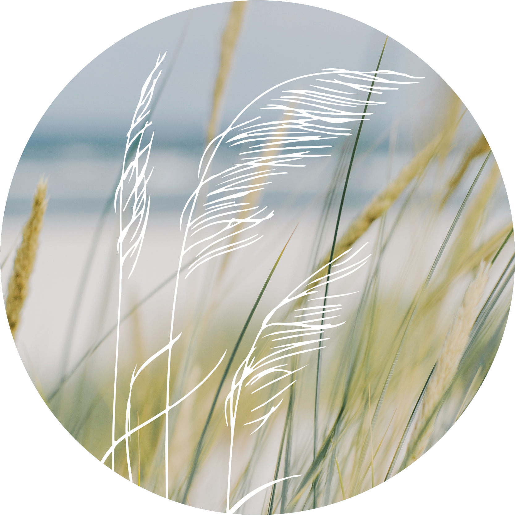 Trauerbegleitung Rückenwind