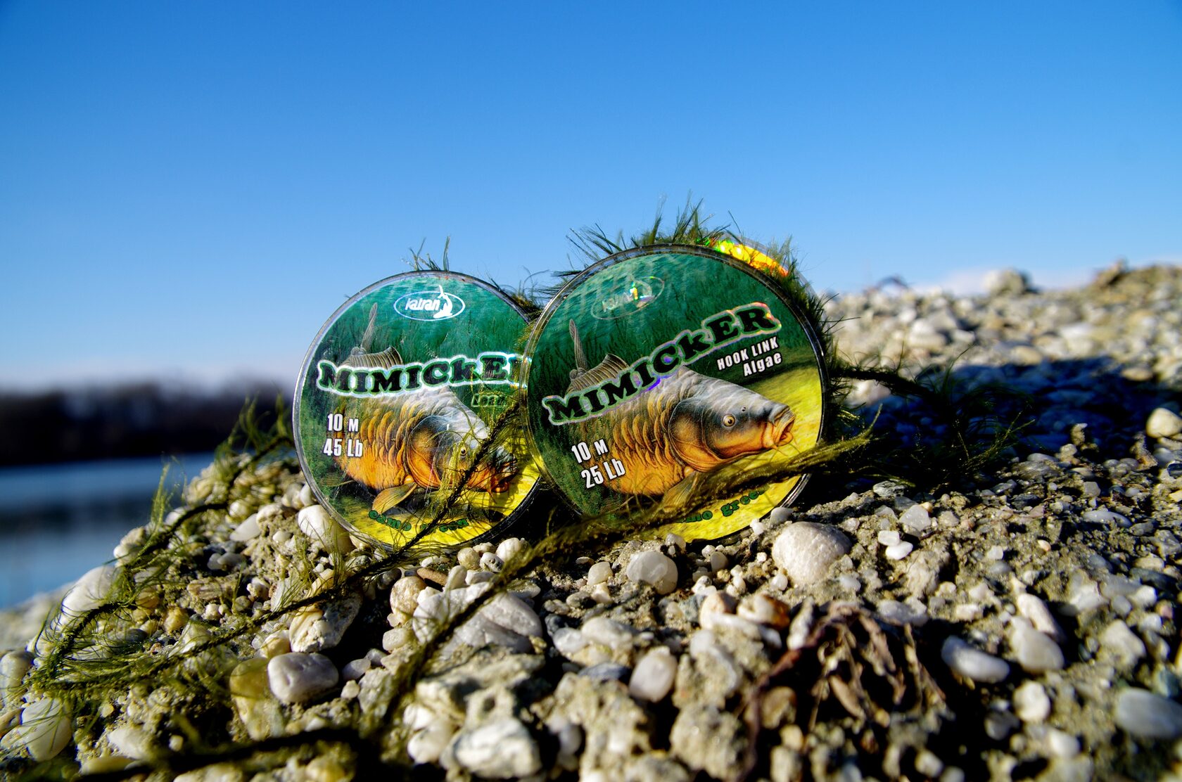 Katran leadcore rig on a weeded Slovenian water