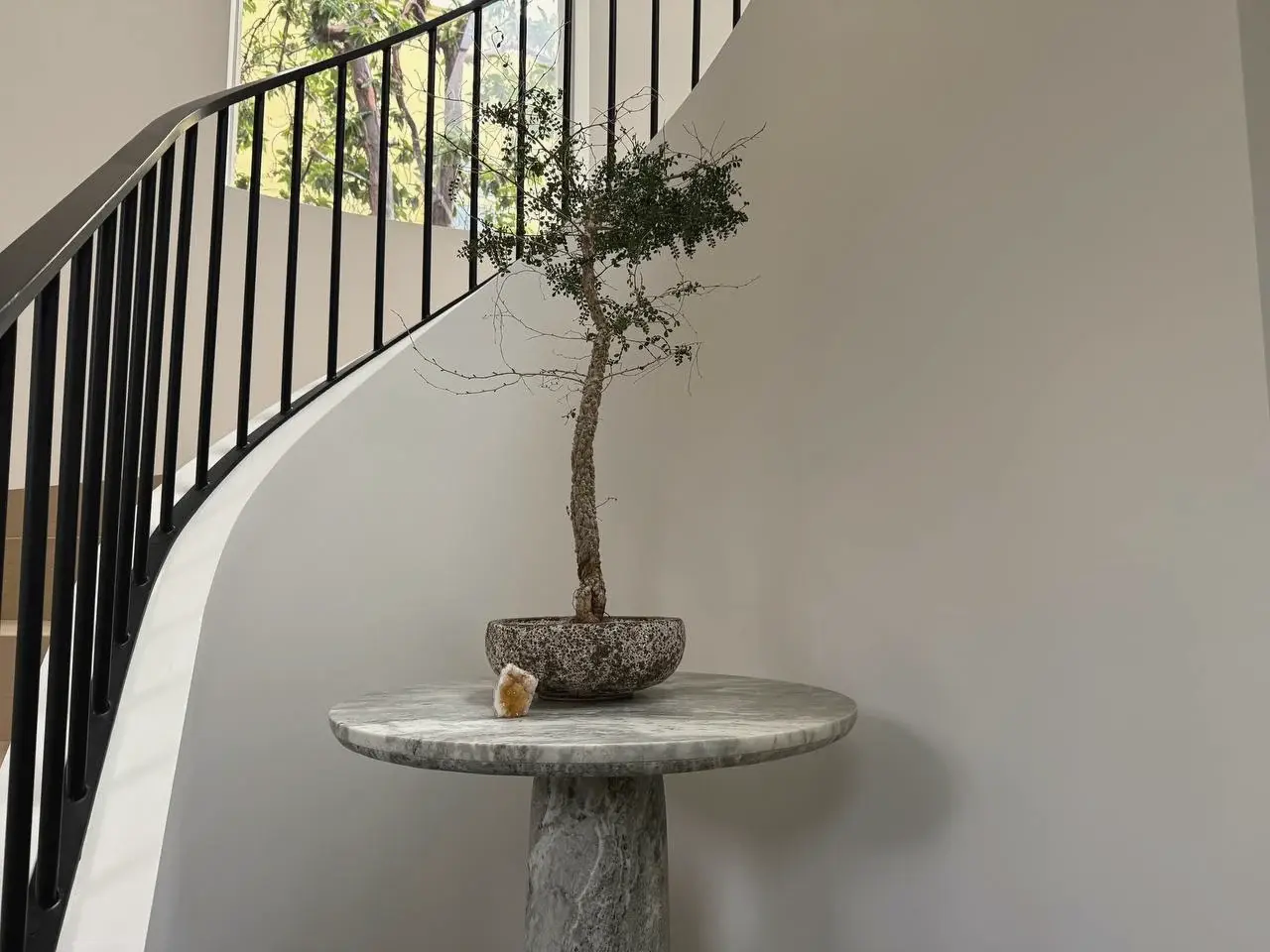 A small olive tree on a stone table under a curved staircase, Del Mar