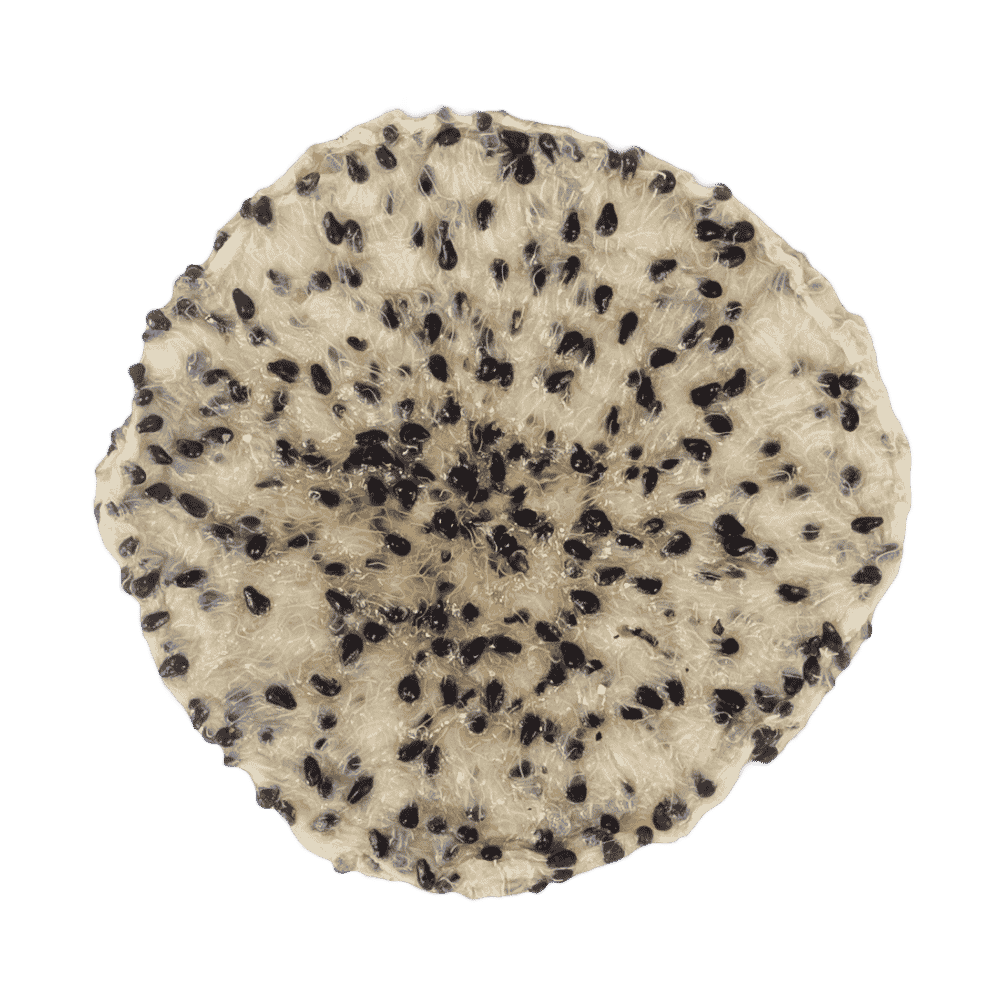 Soft Dried White Dragon Fruit No Added Sugar from Vietnam