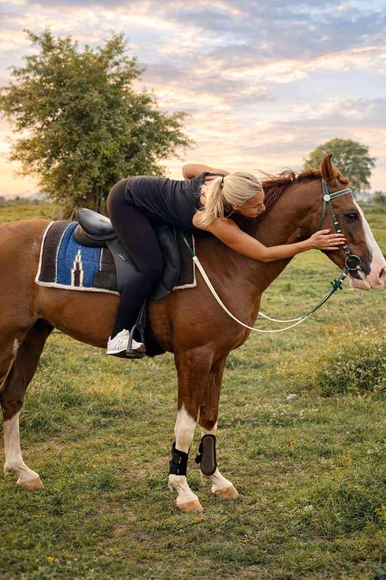 A quiet moment of contact between a guest and a Ranch horse.