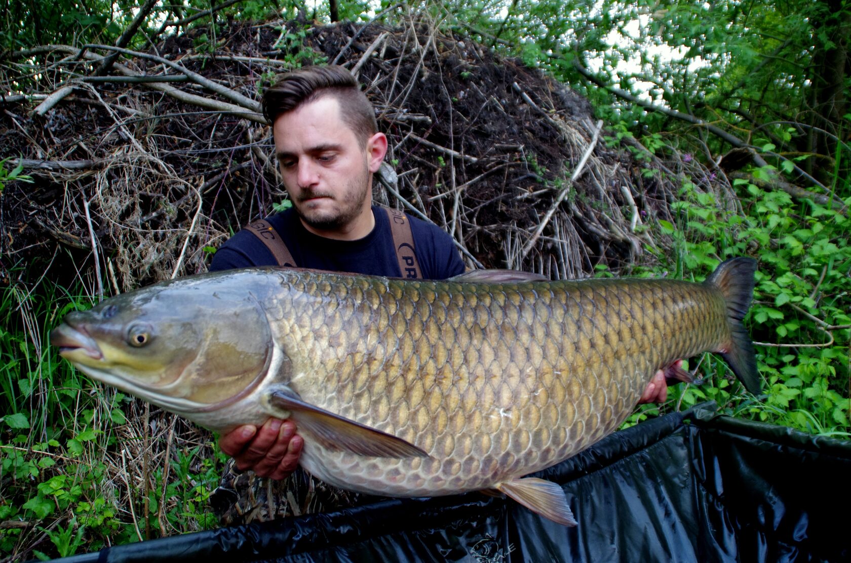 Dejan Sovic with a Katran-caught carp at dusk in Slovenia