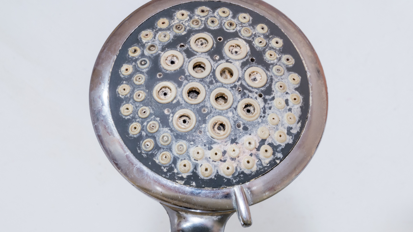 he image shows a showerhead covered in limescale buildup, highlighting the benefits of water softeners in apartments to prevent scaling and improve water quality