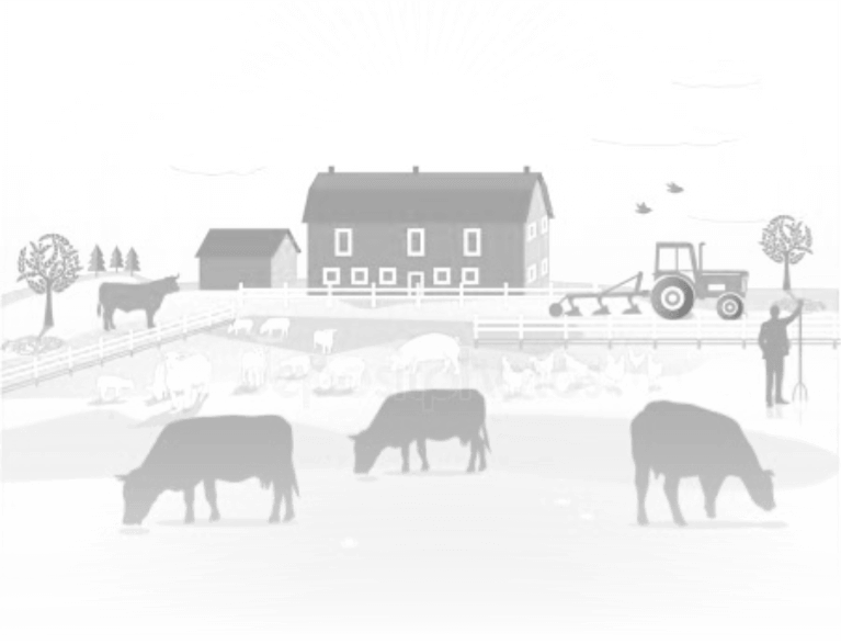 Коровы на лугу возле дома