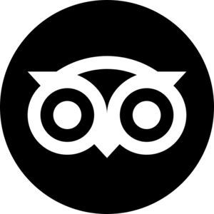 website icon