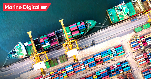 Focus on the environment and green chains