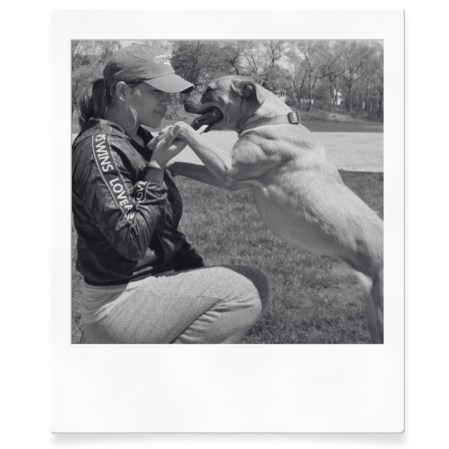 Dog Grooming Near Me