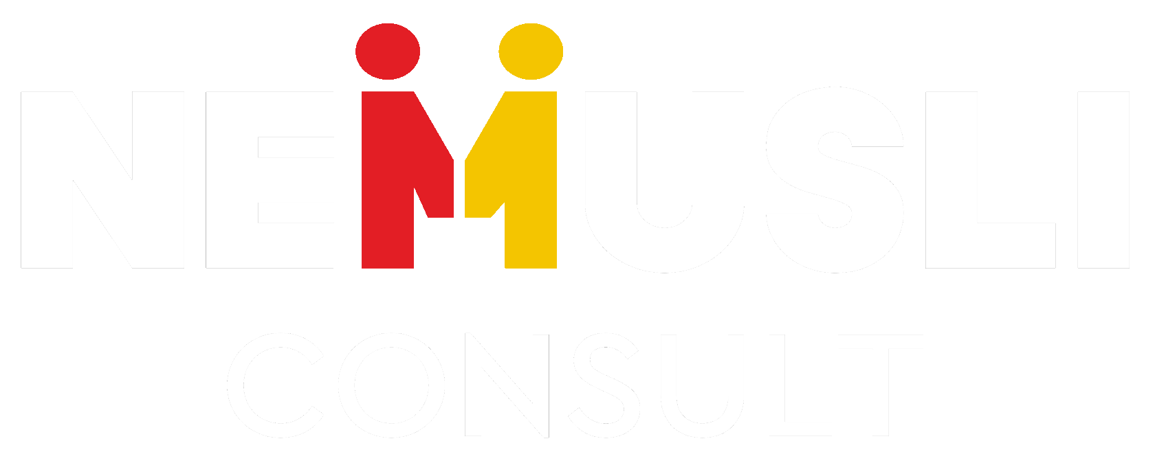 Nemusli Consult