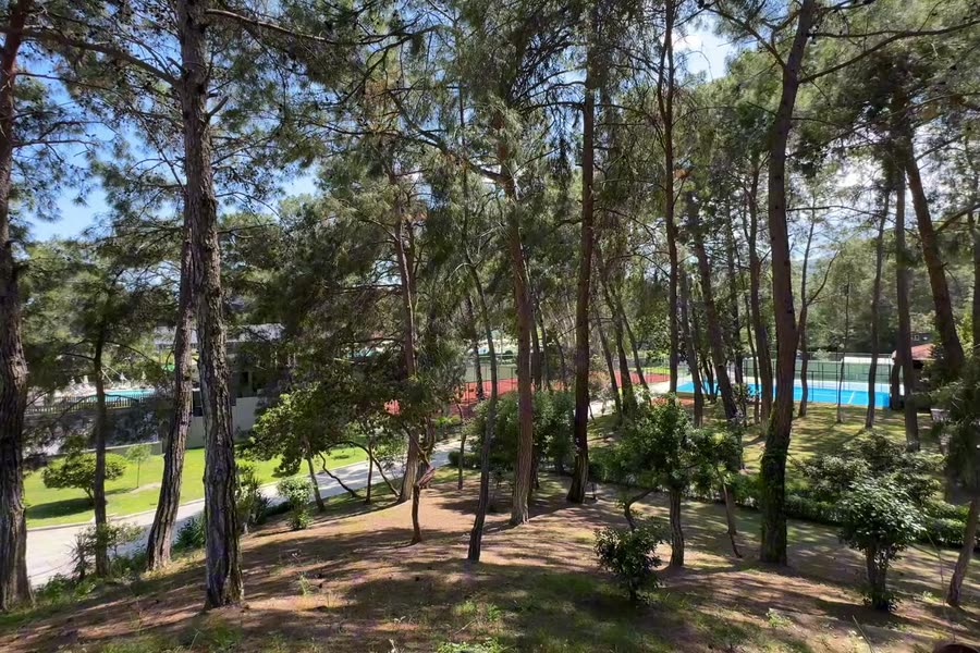Сосни на території — Kimeros Park