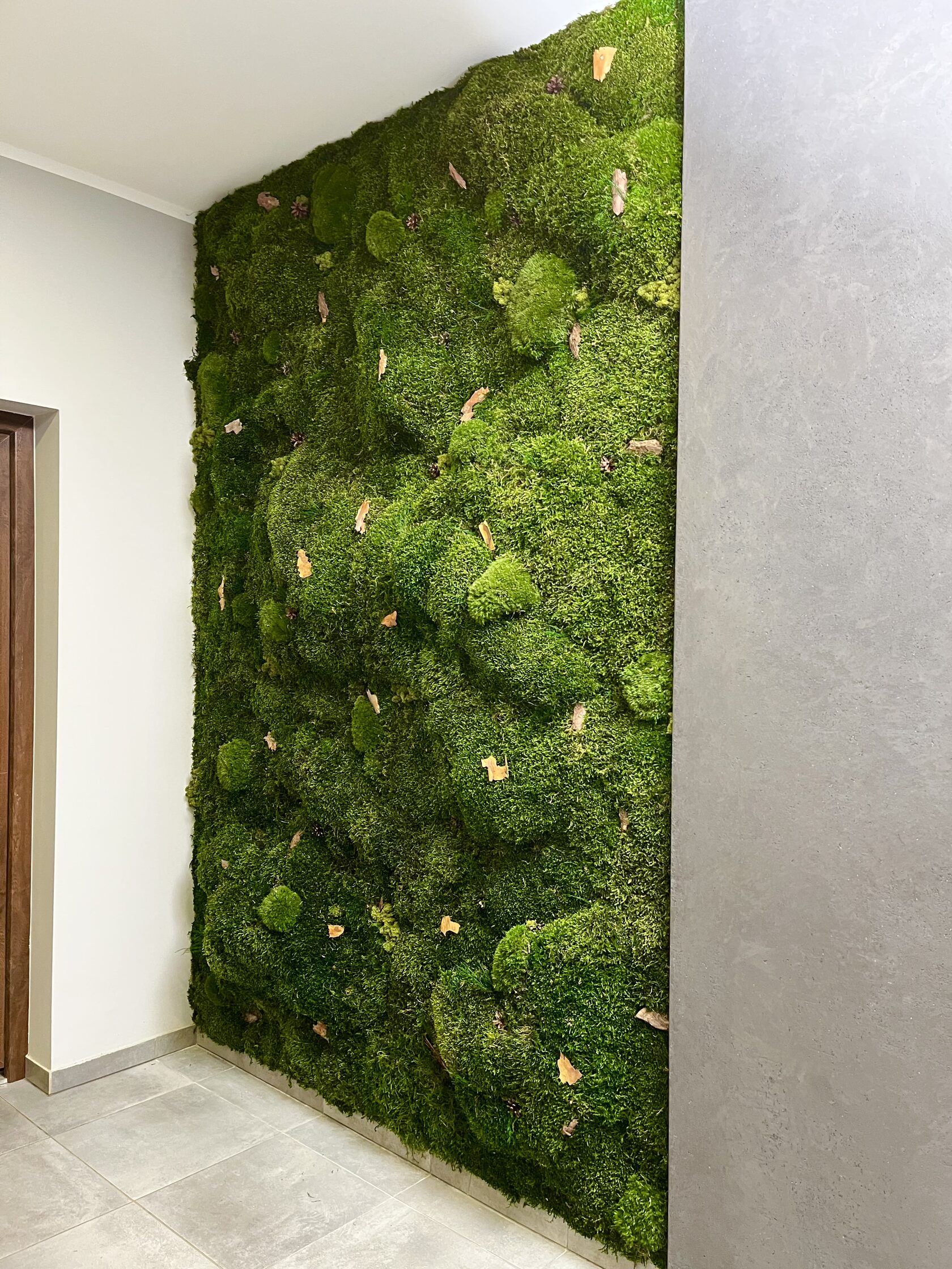 Moss Art Studio – Preserved Moss Wall Art & Eco Interior Decor