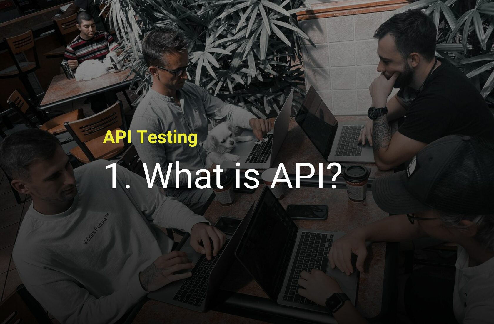 What is API? - Codemify Bootcamp