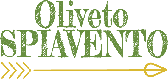  Oliveto Spiavento 