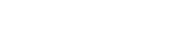 Seeniun Properties