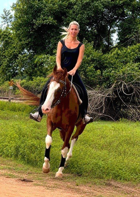 Guest riding a chestnut horse during a private Vonfidel Ranch riding holiday in Sri Lanka