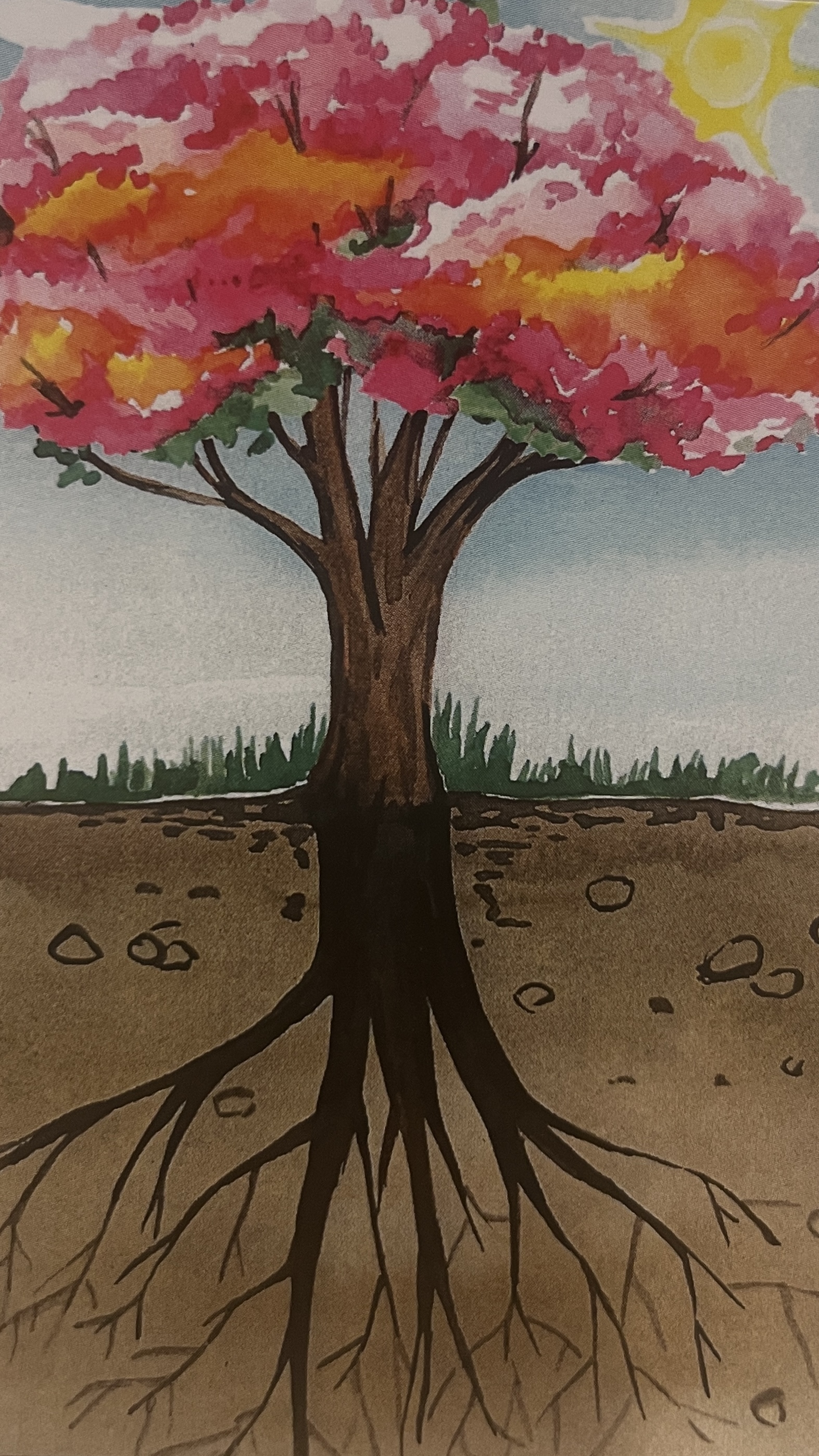 Открытая карта 1