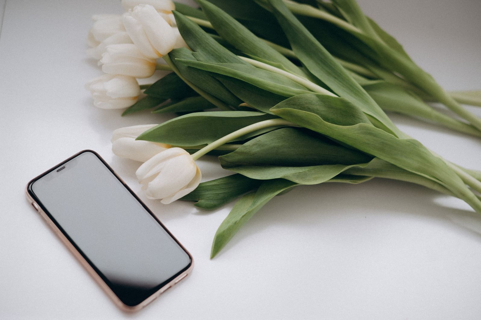 Pulmaleht ehk pulmade veebileht telefoni ekraanil – digitaalne pulmakutse koos RSVP-ga