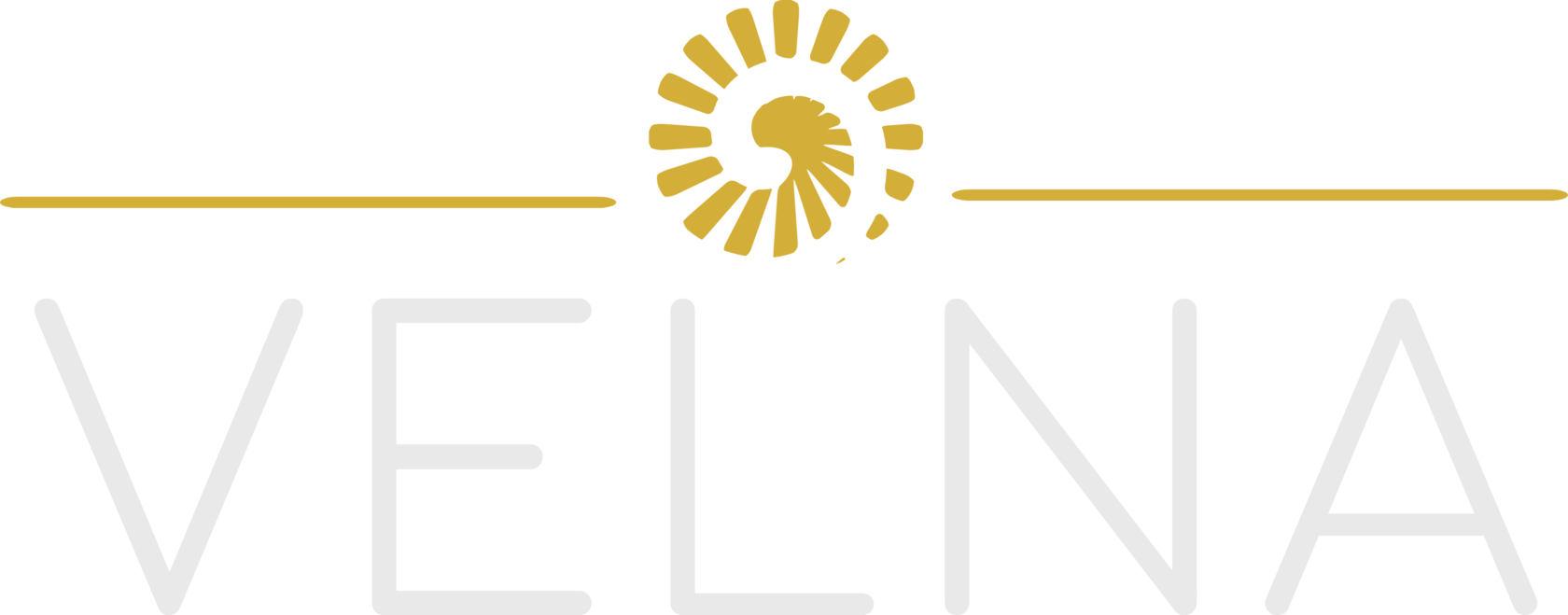 VELNA LLC